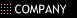 Auto Survival Products - Company